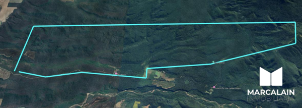 VENTA | FINCA EL AFATAL | SANTA CLARA, JUJUY | 1.000.000 USD - 4