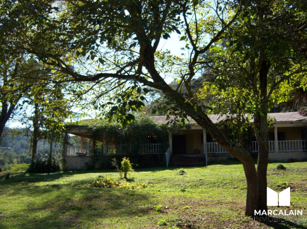 VENTA | FINCA EL AFATAL | SANTA CLARA, JUJUY | 1.000.000 USD - 5