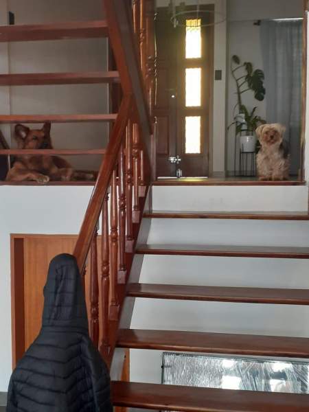 Casa-Venta-Haedo Sur — foto 8