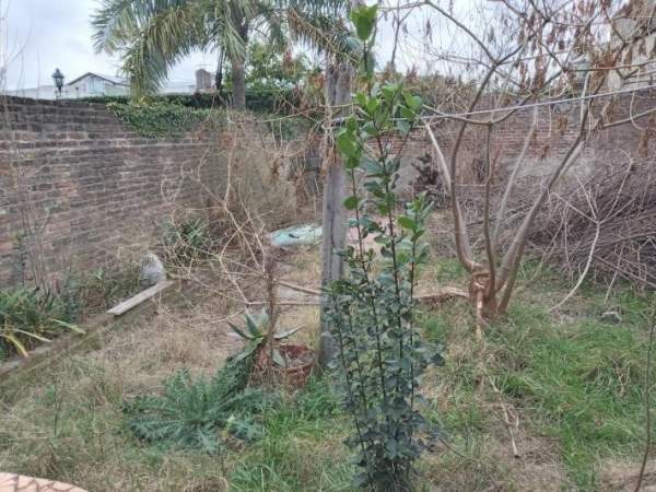 Lote con casa a Reciclar-Venta-Ramos Mejia — foto 2