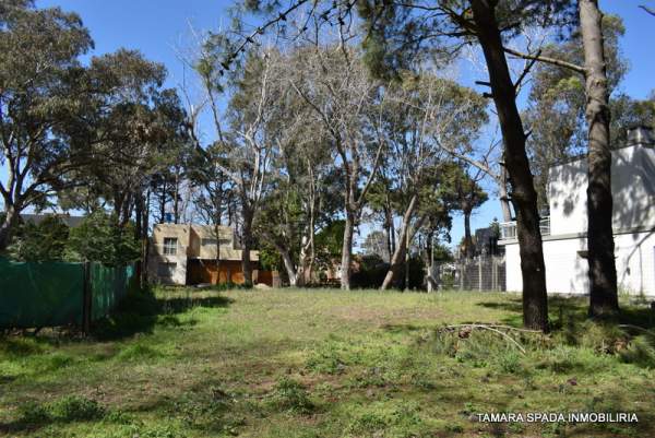 MENDOZA ANTE ESQUINA ENTRE RIOS — foto 6
