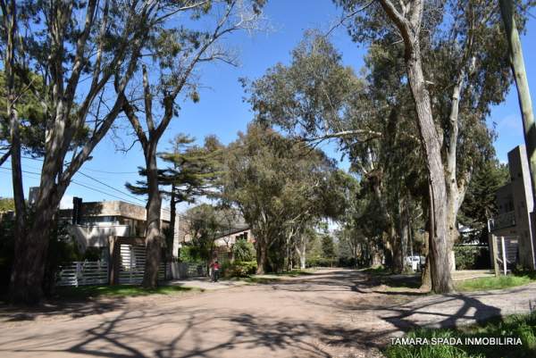 MENDOZA ANTE ESQUINA ENTRE RIOS — foto 5