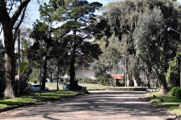 MENDOZA ANTE ESQUINA ENTRE RIOS — foto 4