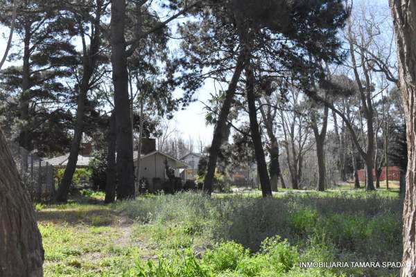 MENDOZA ANTE ESQUINA ENTRE RIOS — foto 3