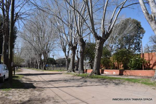 123 ENTRE 104 Y 105 — foto 2