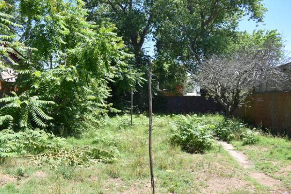 AMPLIA CASA EN ZONA DE RESIDENTES — foto 10