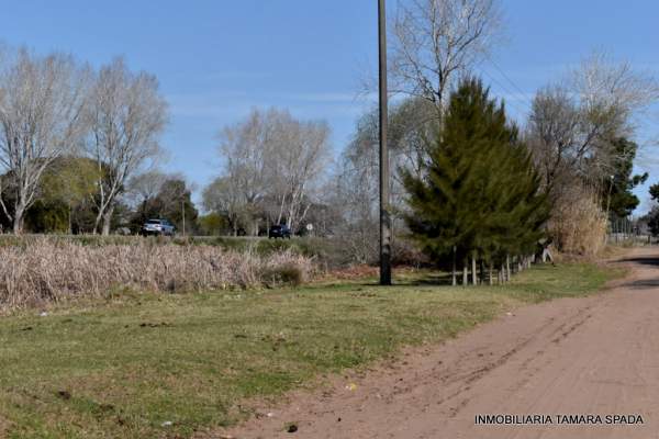 9 HECTAREAS CON FRENTE A RUTA 11, KM 323 — foto 6