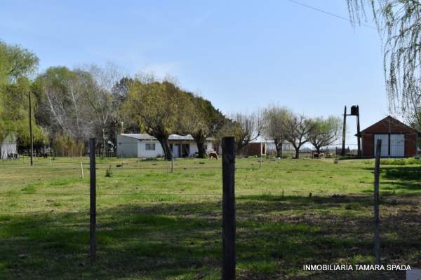 9 HECTAREAS CON FRENTE A RUTA 11, KM 323 — foto 5
