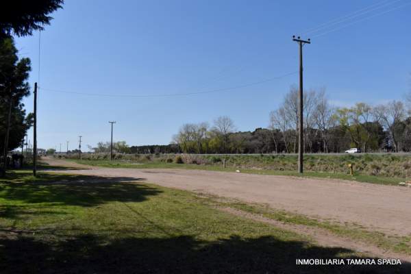 9 HECTAREAS CON FRENTE A RUTA 11, KM 323 — foto 3