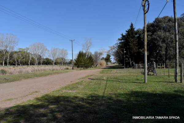9 HECTAREAS CON FRENTE A RUTA 11, KM 323 — foto 2