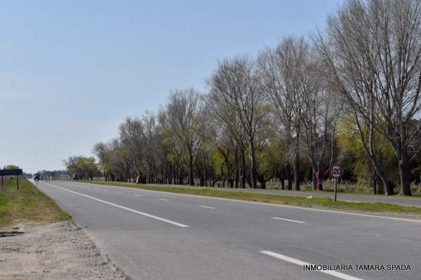 9 HECTAREAS CON FRENTE A RUTA 11, KM 323 — foto 7