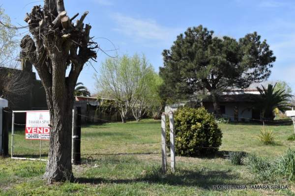 CASA + TERRENO — foto 2