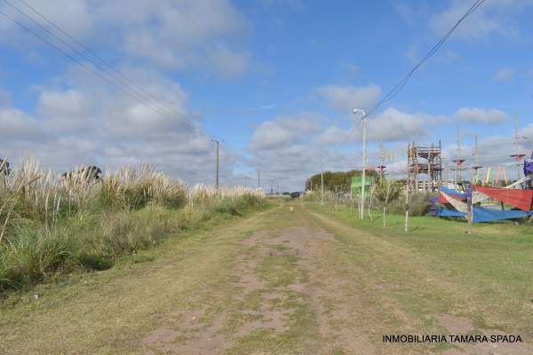 IDEAL PARA UN GRAN PROYECTO — foto 7
