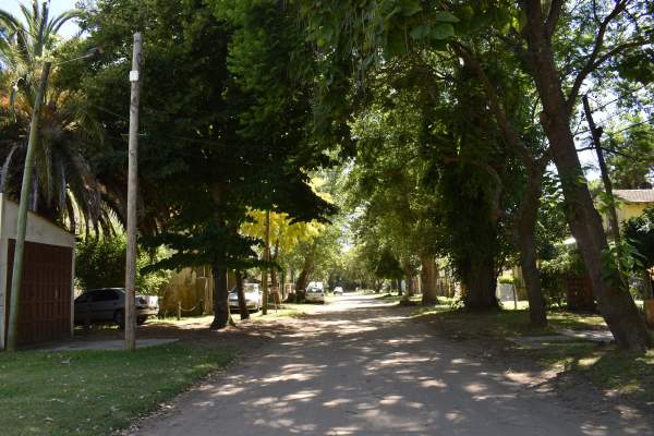 125 ENTRE AV. 27 Y 103 — foto 2