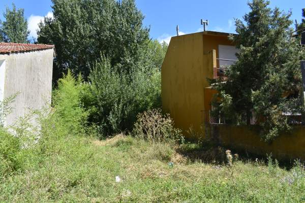 125 ENTRE AV. 27 Y 103