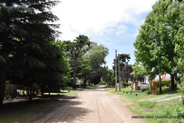 BUENOS AIRES ENTRE 27 Y PARQUE PÚBLICO — foto 3