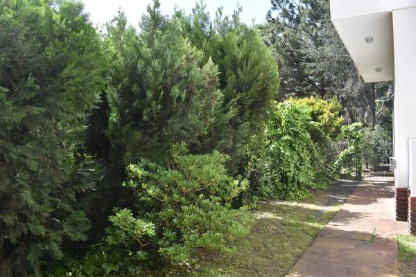 FINANCIA ACEPTA PERMUTA: CASA EN SANTA TERESITA SOBRE EL MONTE — foto 11