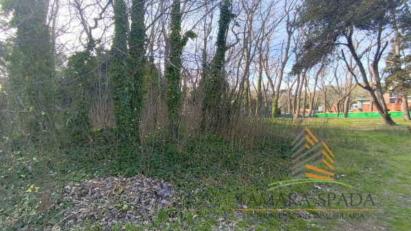 LOTE COMERCIAL EN AV. 27 SOBRE EL MONTE — foto 3