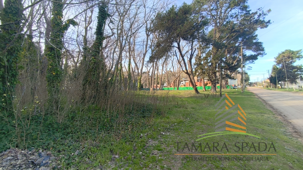 LOTE COMERCIAL EN AV. 27 SOBRE EL MONTE