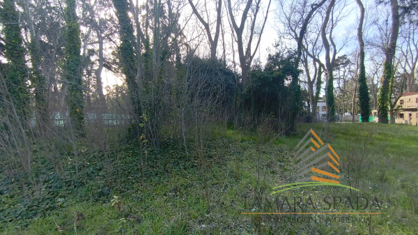 LOTE COMERCIAL EN AV. 27 SOBRE EL MONTE — foto 4