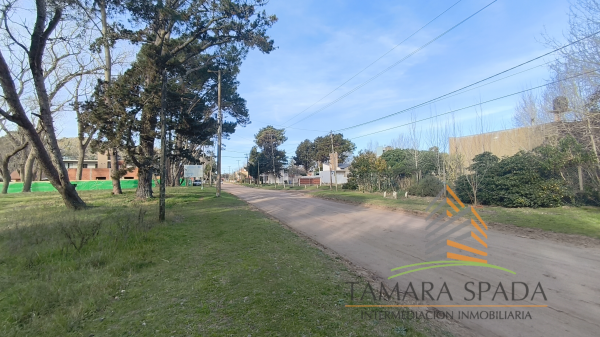 LOTE COMERCIAL EN AV. 27 SOBRE EL MONTE — foto 5