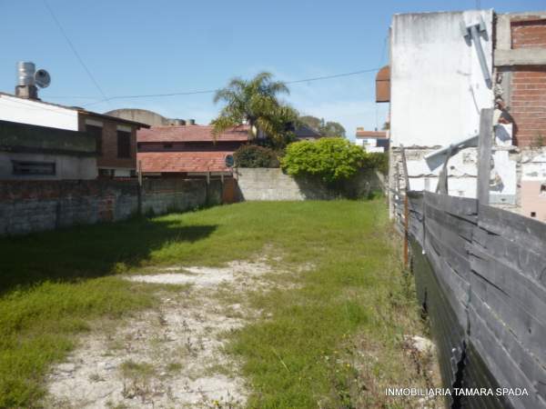 AVENIDA 32 ENTRE 4 Y 5 — foto 4