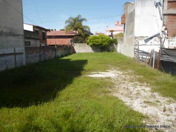 AVENIDA 32 ENTRE 4 Y 5 — foto 5