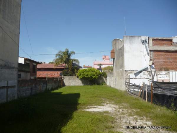 AVENIDA 32 ENTRE 4 Y 5 — foto 6
