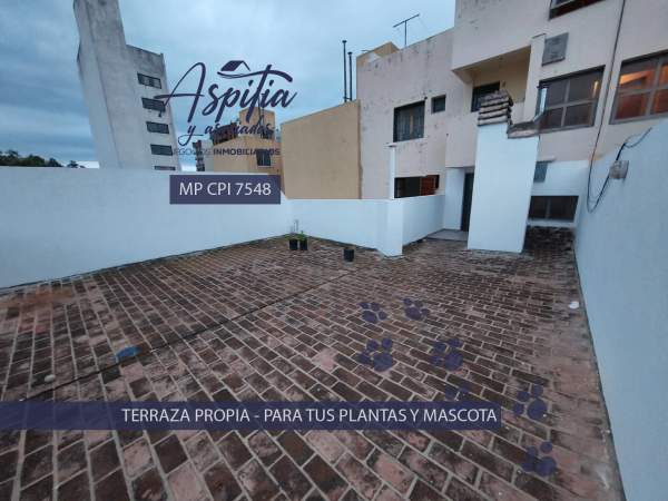 ALQUILER Departamento 2 dormitorios en Barrio San Martín - 7