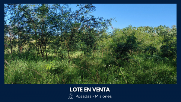 LOTE DE 12m x 33m (423m2) A MEDIA CUADRA DE AV. MONSEÑOR DE ANDREA - 1