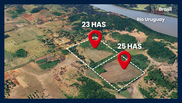 Chacras en VENTA en Azara, Misiones - 3