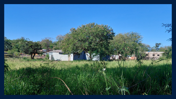 LOTE DE 12m x 33m (423m2) A MEDIA CUADRA DE AV. MONSEÑOR DE ANDREA - 5