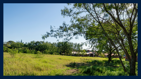 VENTA de 7 LOTES (8.400 m²) - 9