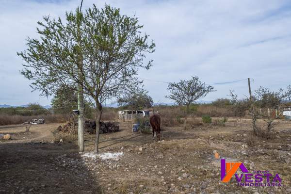 SAN LUIS TERRENO CON CASA-VENTA ZONA CIRCUNVALACION SUROESTE- HOTEL DE LA LIGA-SALTA - 19