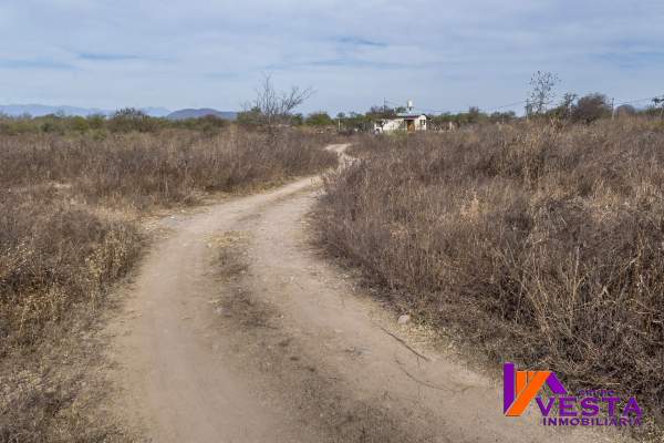 SAN LUIS TERRENO CON CASA-VENTA ZONA CIRCUNVALACION SUROESTE- HOTEL DE LA LIGA-SALTA - 15