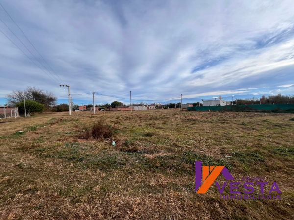 Urbanización Los Algarrobos II-terreno-venta-390 m² - Posesión Inmediata - Zona Sur — foto 9