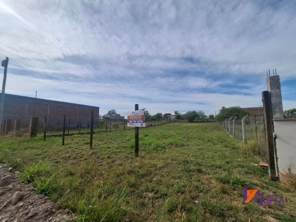 LOS NOGALES-TERRENO-VENTA-RUTA 24-SALTA - 4