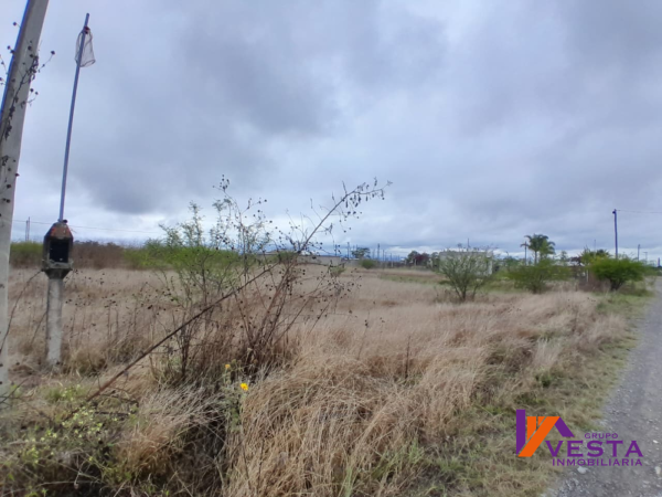 POTREROS DE QUIJANO-TERRENO EN VENTA- CAMPO QUIJANO-SALTA - 2