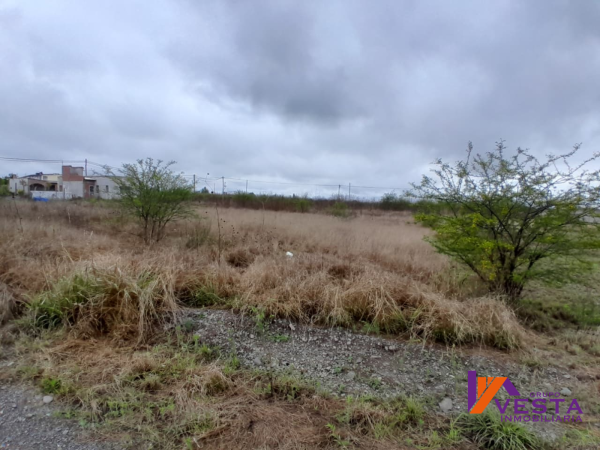 POTREROS DE QUIJANO-TERRENO EN VENTA- CAMPO QUIJANO-SALTA - 4