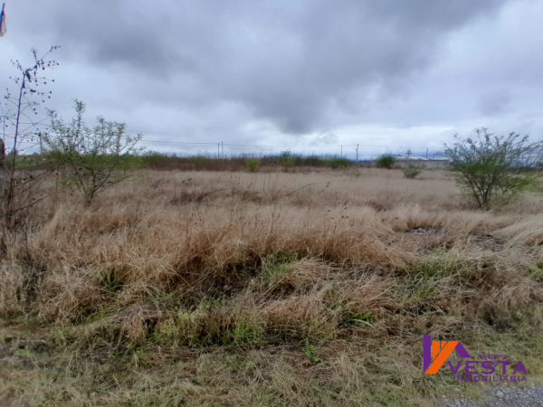 POTREROS DE QUIJANO-TERRENO EN VENTA- CAMPO QUIJANO-SALTA - 5