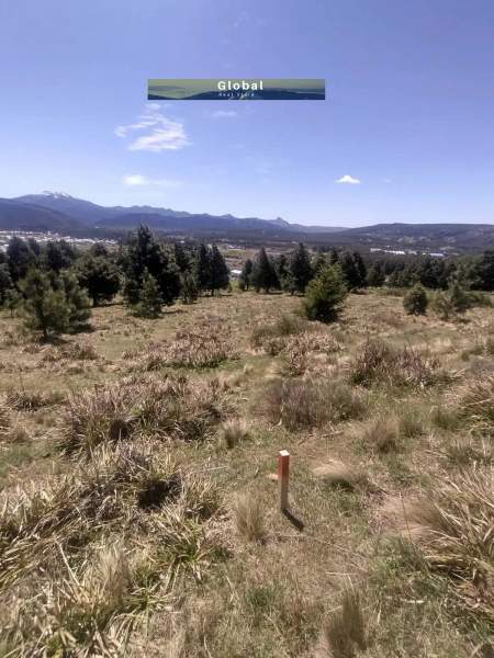FRACCIÓN DE 3,3 Has CHACRA 22 Y 23, SAN MARTÍN DE LOS ANDES PATAGONIA ARGENTINA - 4