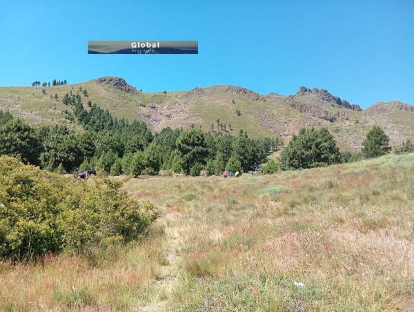 FRACCIÓN DE 3,3 Has CHACRA 22 Y 23, SAN MARTÍN DE LOS ANDES PATAGONIA ARGENTINA - 2