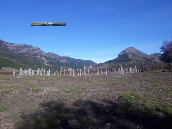 EXCELENTE CAMPO RUTA SIETE LAGOS, SAN MARTÍN DE LOS ANDES PATAGONIA ARGENTINA - 6