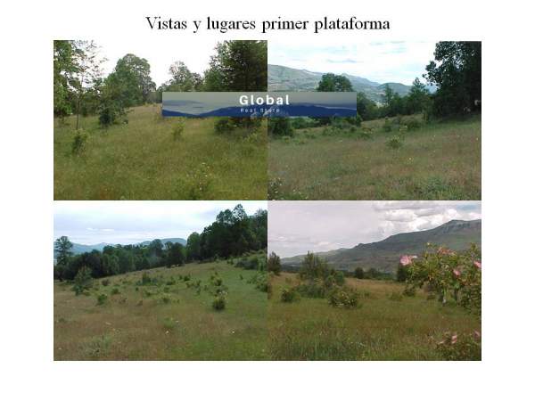 Fracción Única De 32 Has, Proyecto Urbanístico Loma Redonda, San Martín De Los Andes Patagonia Argentina - 8
