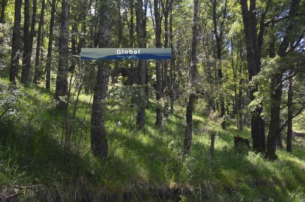 Lote Callejón De Torres, San Martín De Los Andes Patagonia Argentina - 12