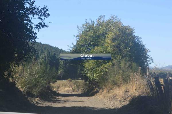 Fracción Única De 32 Has, Proyecto Urbanístico Loma Redonda, San Martín De Los Andes Patagonia Argentina - 11