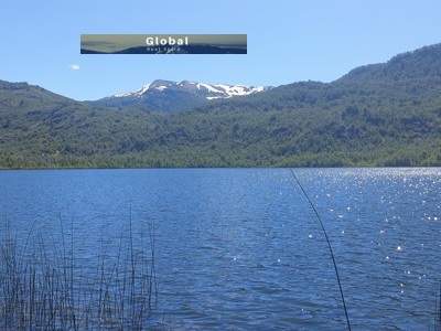 EXCELENTE CAMPO RUTA SIETE LAGOS, SAN MARTÍN DE LOS ANDES PATAGONIA ARGENTINA - 8