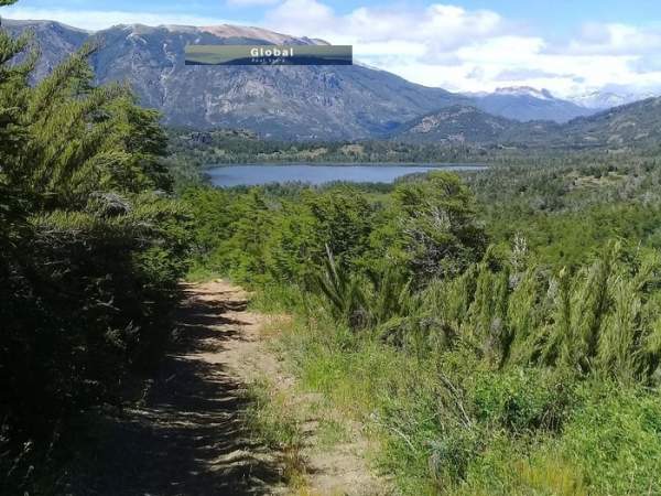EXCELENTE CAMPO RUTA SIETE LAGOS, SAN MARTÍN DE LOS ANDES PATAGONIA ARGENTINA - 7