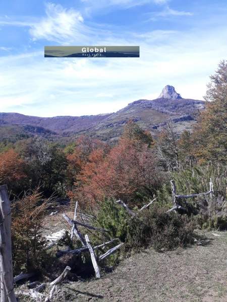 EXCELENTE CAMPO RUTA SIETE LAGOS, SAN MARTÍN DE LOS ANDES PATAGONIA ARGENTINA - 11