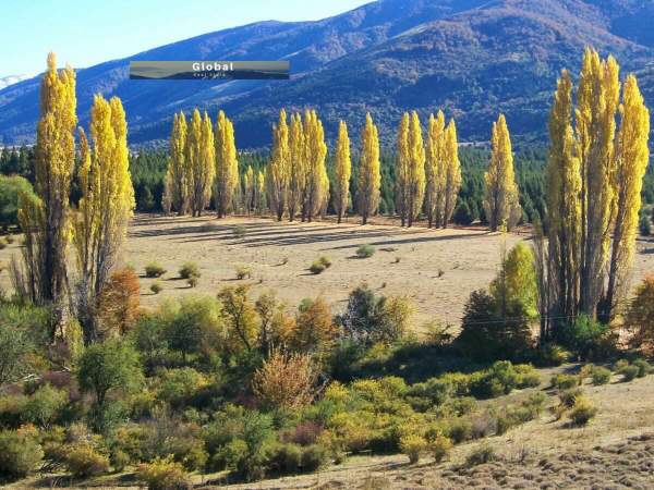 Fabulosos Lotes Barrio Privado Nóregon San Martín De Los Andes, Patagonia Argentina - 6